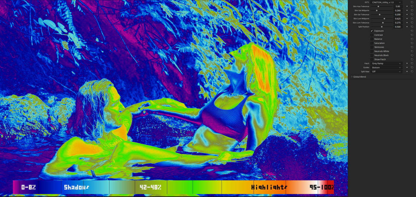 CINETON Utility - Color Grading Analysis DCTL
