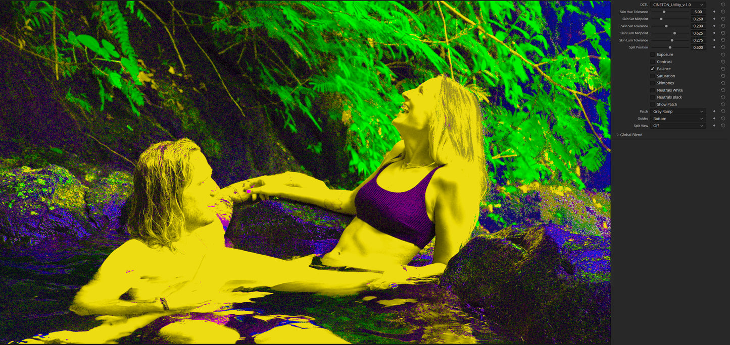 CINETON Utility - Color Grading Analysis DCTL