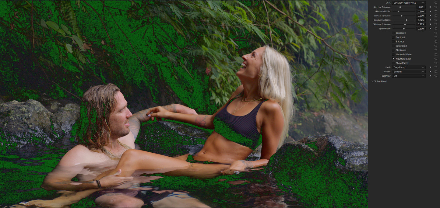 CINETON Utility - Color Grading Analysis DCTL