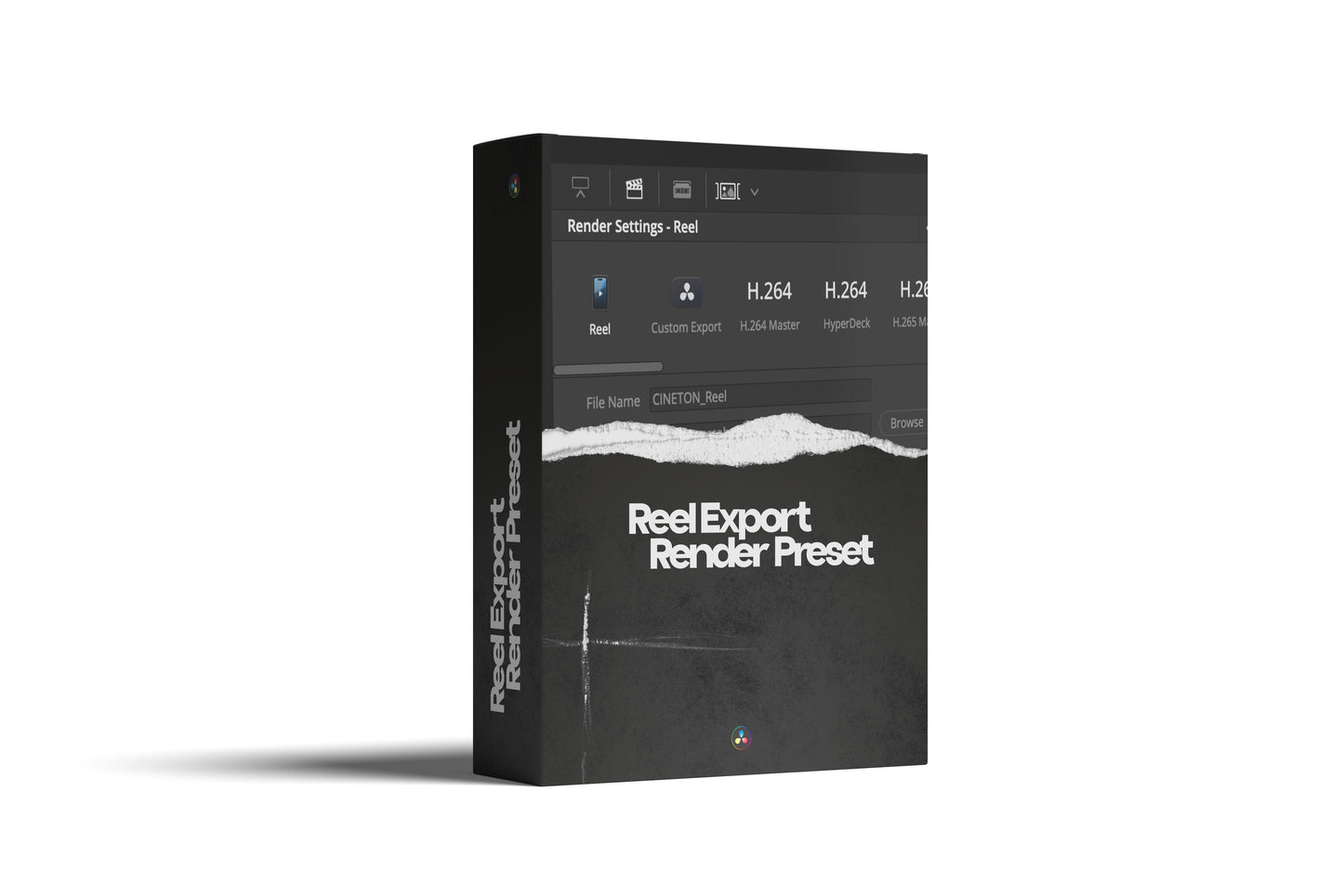DaVinci Resolve Export-Preset für Reels